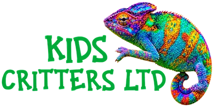 Kids Critters Ltd